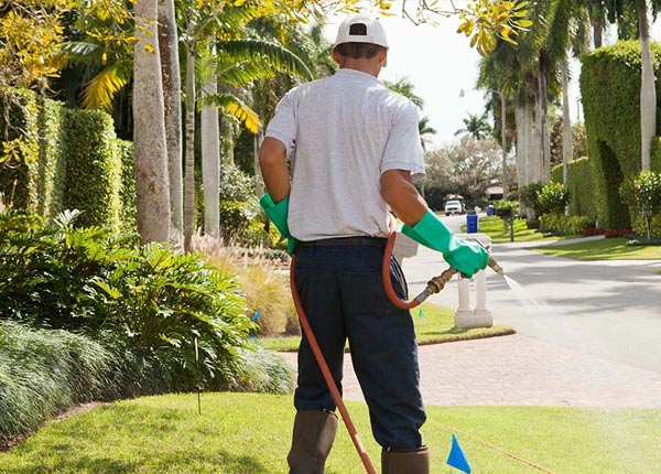 About Fly Creek NY Pest Control